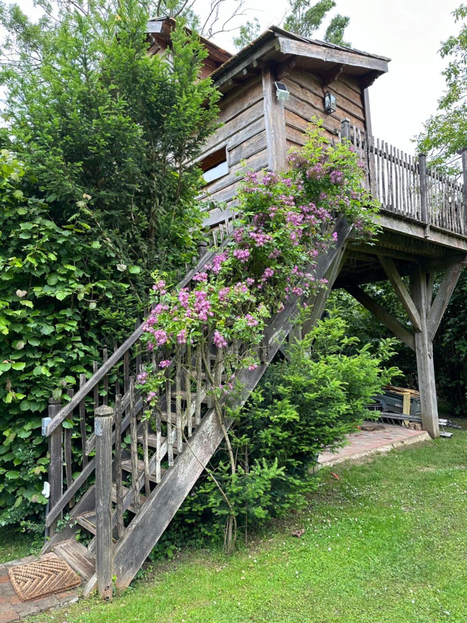 Chambres D'Hotes De La Vallee Javot Féricy Εξωτερικό φωτογραφία