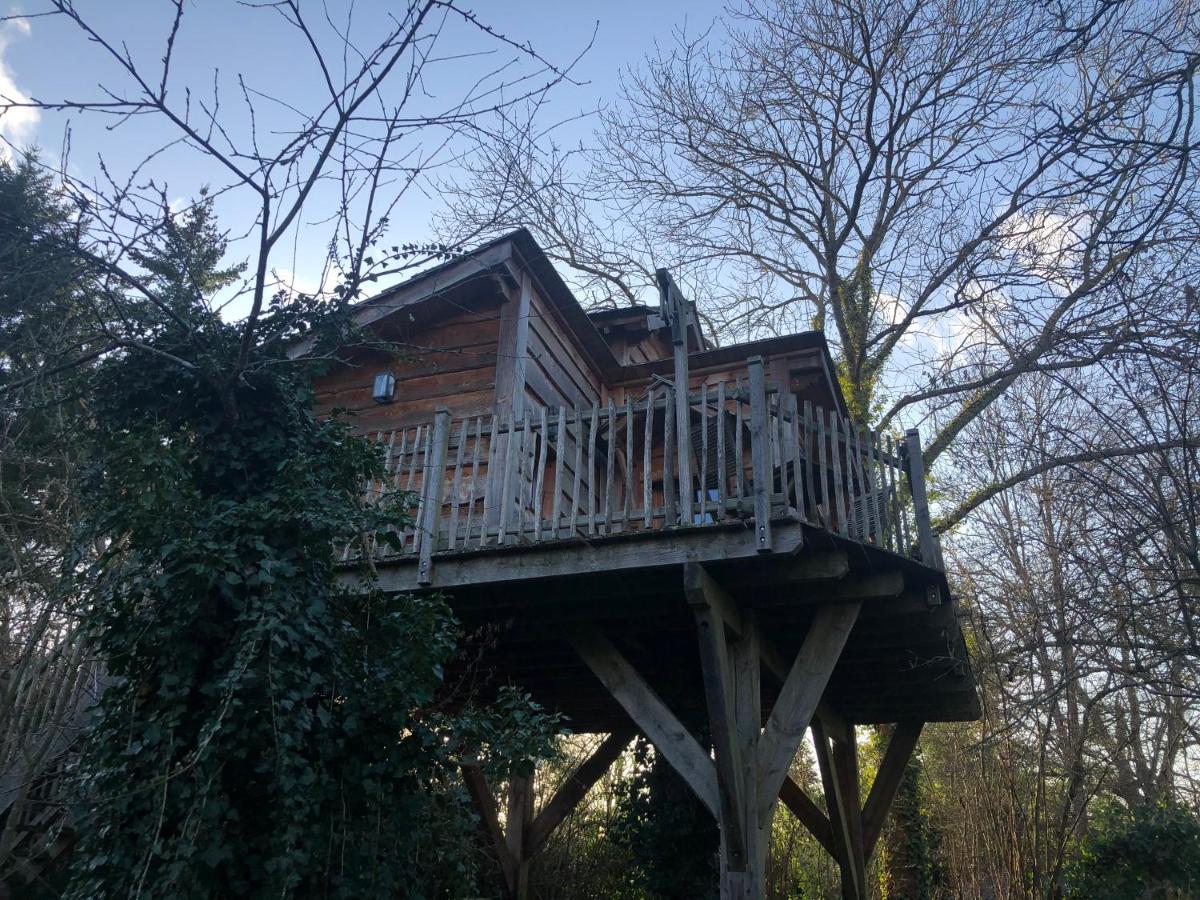 Chambres D'Hotes De La Vallee Javot Féricy Εξωτερικό φωτογραφία